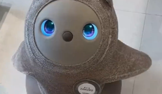 一款来自日本的陪伴机器人晓晓吸引了广泛关注