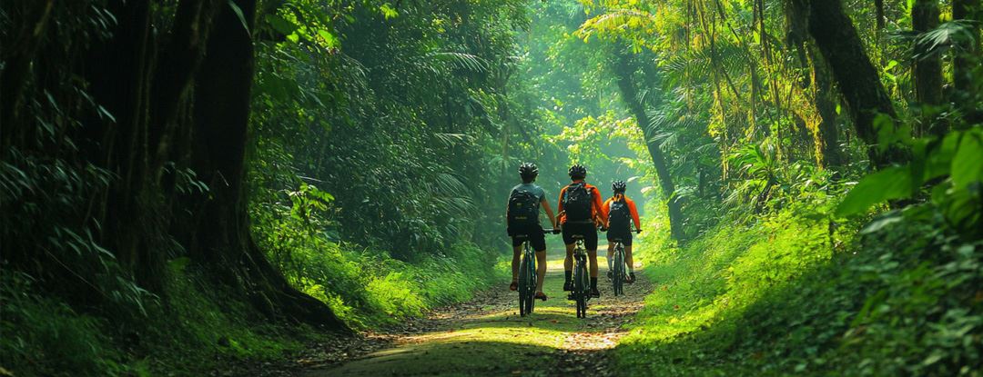 🌐AI智能体颠覆传统服务业：旅行社、客服首当其冲